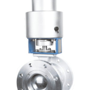 Basic Weight Valve